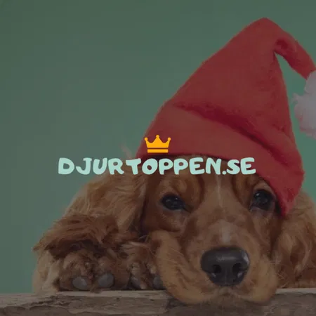 Djurtoppen